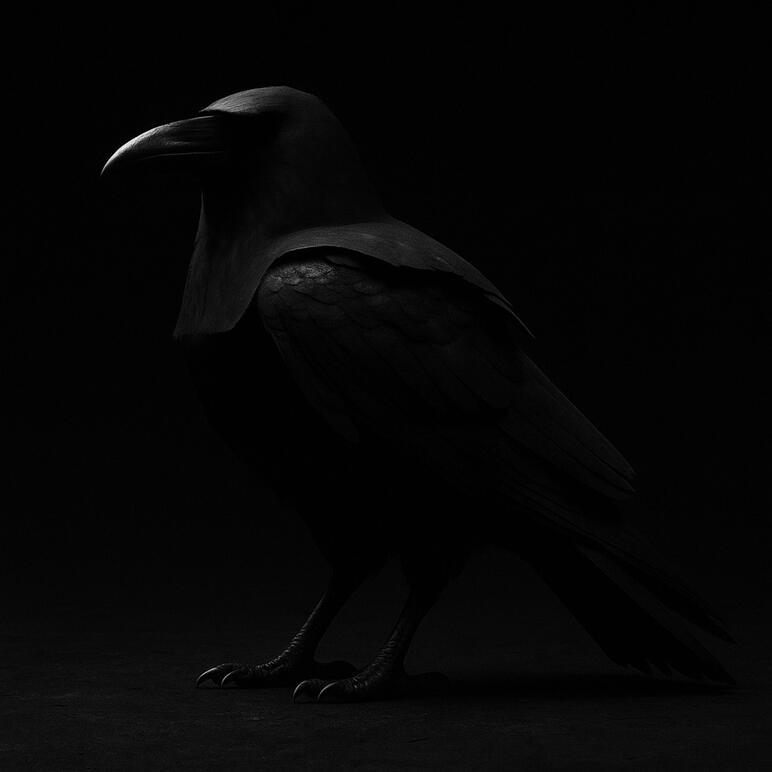 BLACK FLIGHT